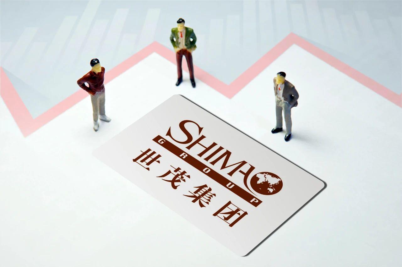 世茂股票，科技巨擘重塑投资世界的新篇章