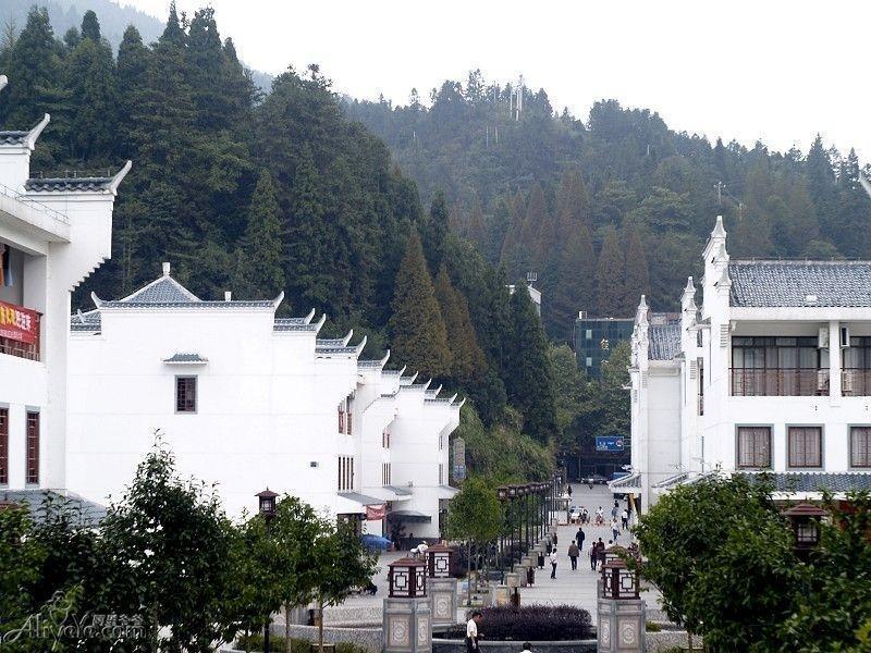 茨坪招聘信息回顾与洞察，深度解析及展望