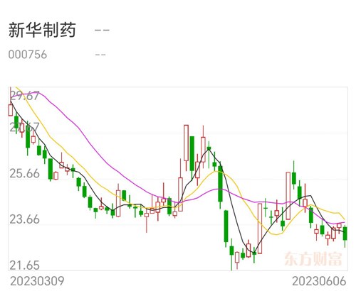 新华制药股票深度分析与观点阐述