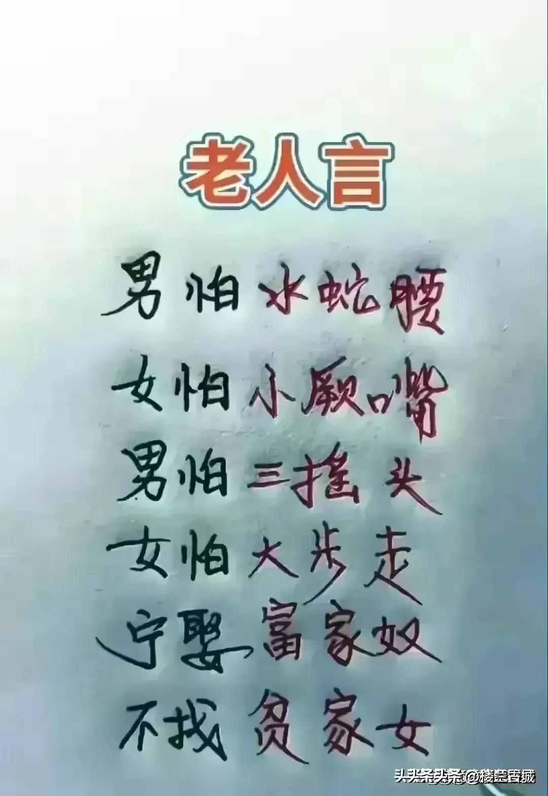 中国小品演员排名与寻找内心宁静的自然之旅，喜剧的力量