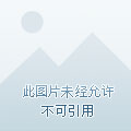 第559页