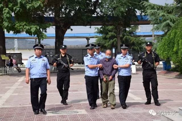 武山最新命案报道,武山最新命案报道，深度分析与观点阐述