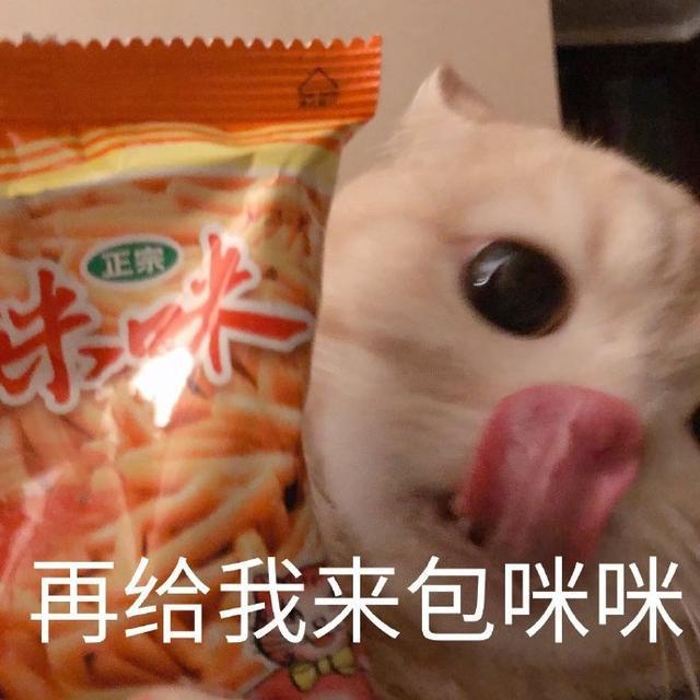 咪咪爱新动态,咪咪爱新动态，一场情感与科技的交融之旅