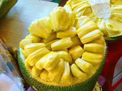 菠萝蜜上市尝鲜时，友情的味道与季节的交响
