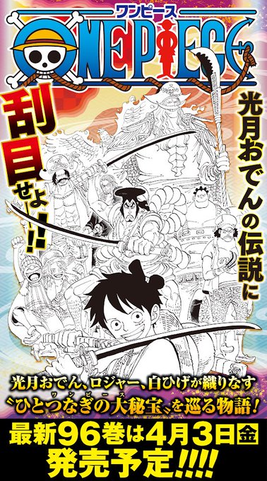 尾田最新日常揭秘，海洋之谜与友情之暖