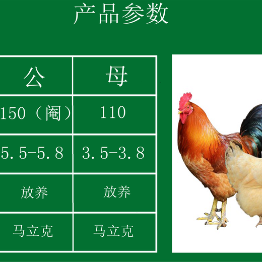 广东三黄鸡价格行情探索，小巷中的美味秘密揭秘