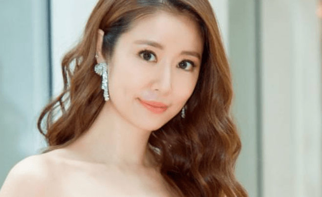 明星的定义与含义解析