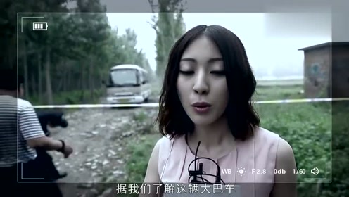 琪琪电影在线观看，自然美景的心灵之旅之旅