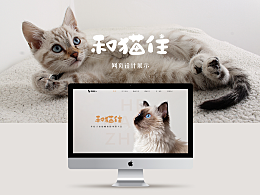 猫咪网址更新，探索小巷中的猫咪特色小店之旅