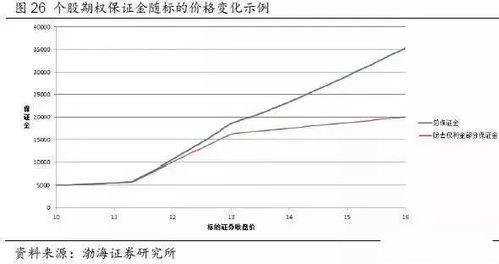 深度解析与案例探讨，上市后原始股翻倍增长潜力探讨