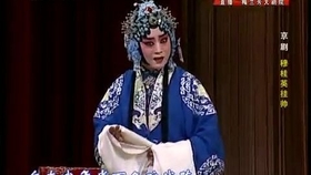 梨园传奇——京剧名家赵葆秀的绽放之路