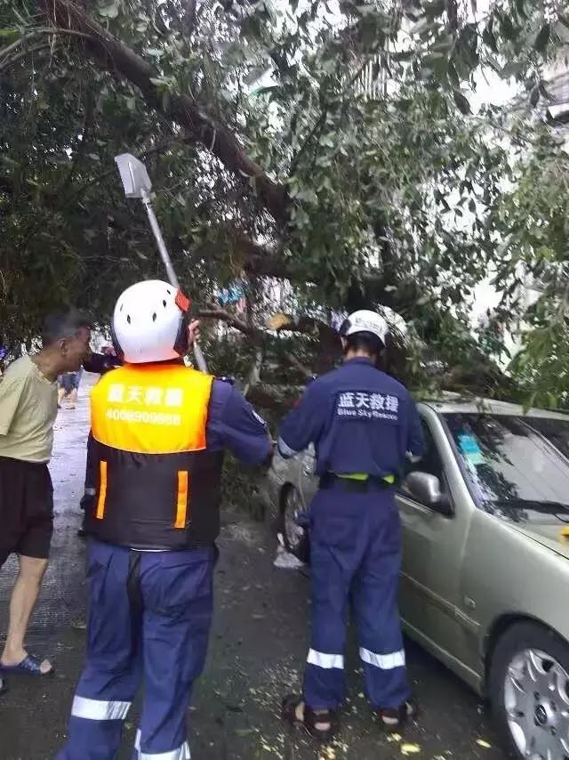 厦门地震实时更新，最新动态与报告