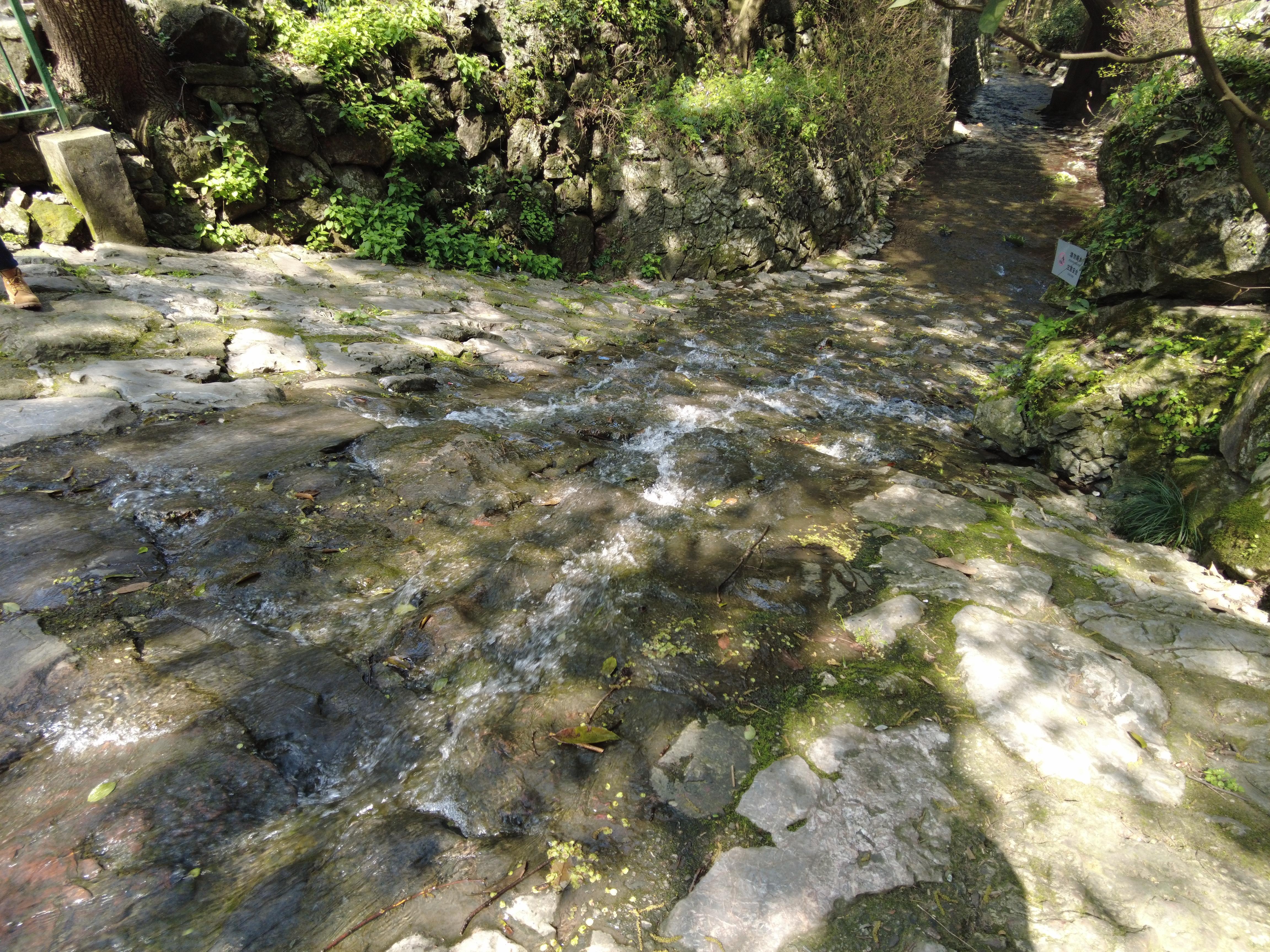 杭州灵隐寺最新风景照，温馨日常故事之旅