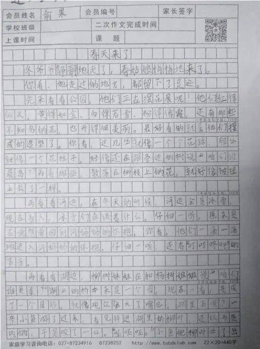 小明星作文，聚焦与争议热议