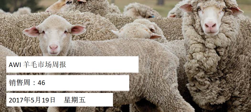 2016年羊绒行情回顾与总结
