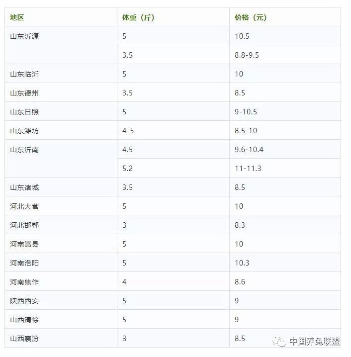 兔价最新动态，市场趋势、影响因素及前景展望分析