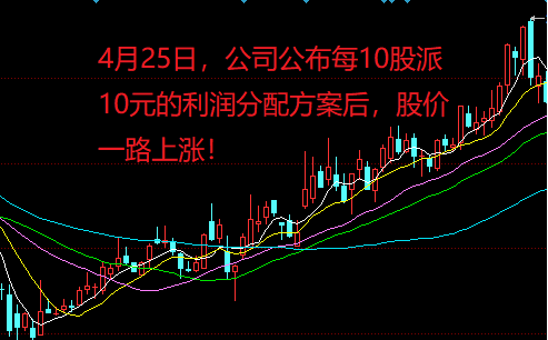 股票分红方案深度解析，你不能错过的小知识！