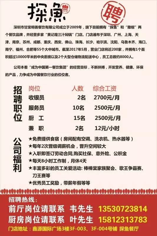 沅江最新招聘资讯概览，观点与岗位更新