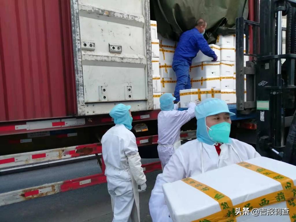 辽宁茄子市场价格行情，科技与生活的紧密联动