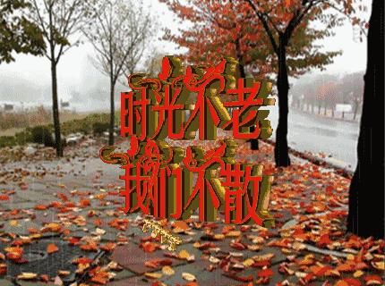 一路有你电影，温暖人心的旅程之作