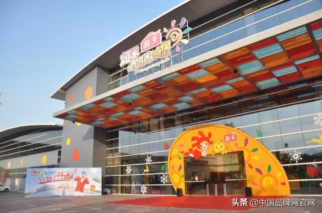 双汇集团上市之路回顾，背景、重要事件与地位的探析
