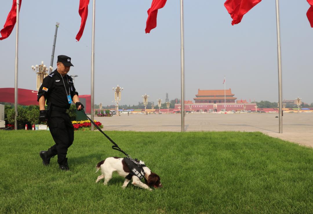 誓言无声电视剧，深度探究内涵与影响