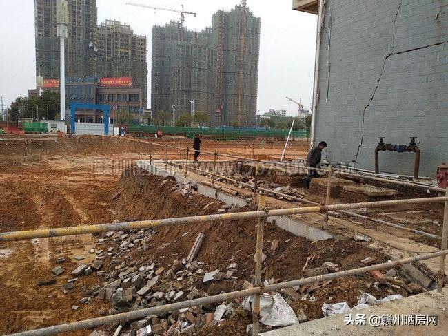 中国最新粮食与温馨日常故事概述