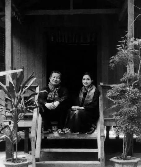 美丽的妻子，电影中的情感、剧情与深远影响
