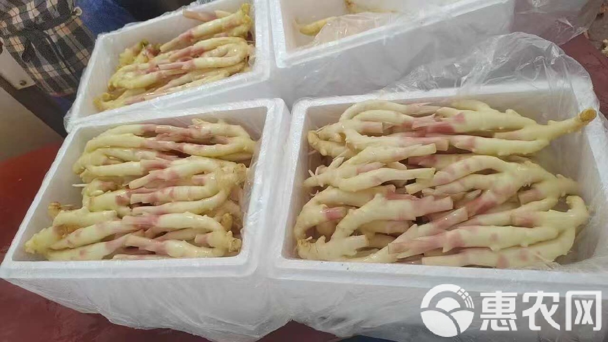 子姜的上市时间与探索新鲜生姜的季节