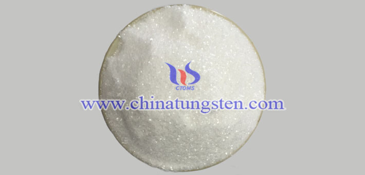 钼精矿最新行情,钼精矿最新行情，变化中的机遇，学习带来的自信与成就感