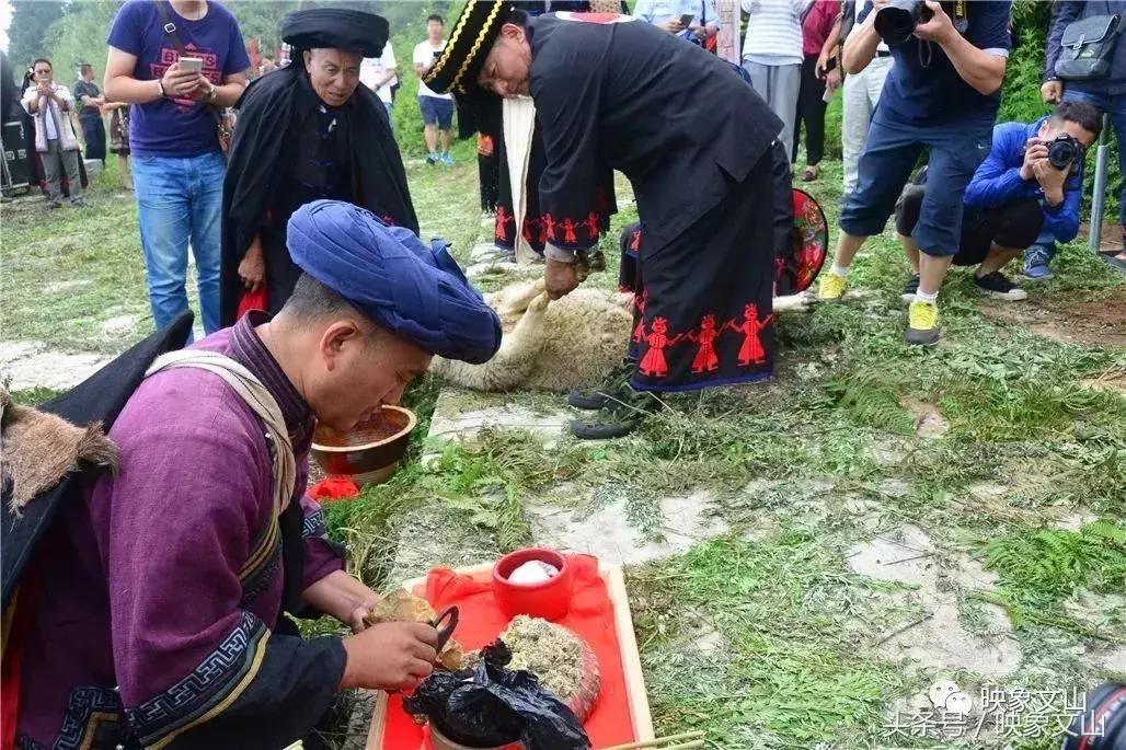 最新斗牛，力与勇的巅峰对决