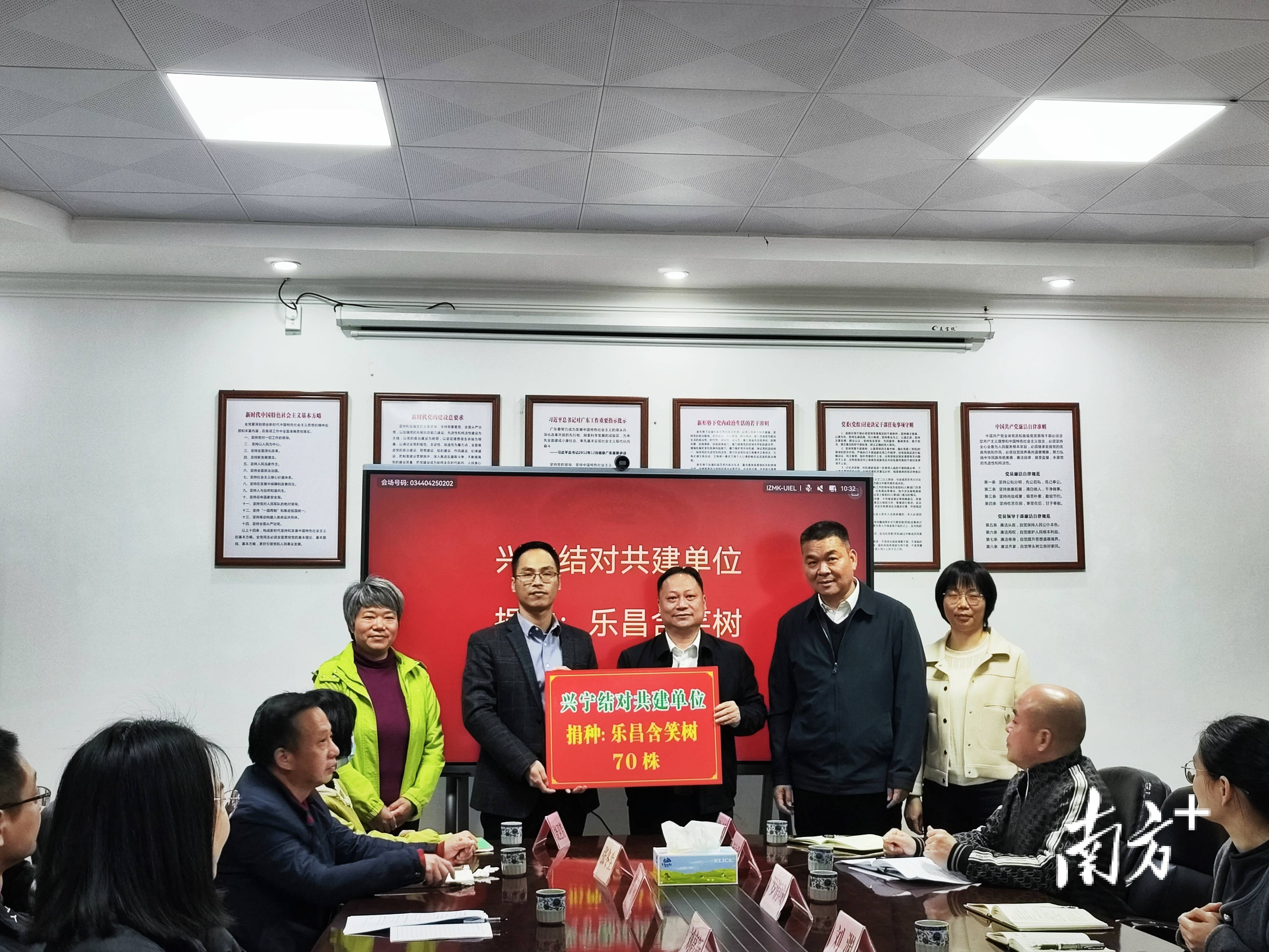 兴宁叶春华最新动态大全，全面指南与步骤教程