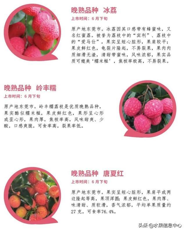荔枝上市季节来临，科技新品引领智能领略之旅