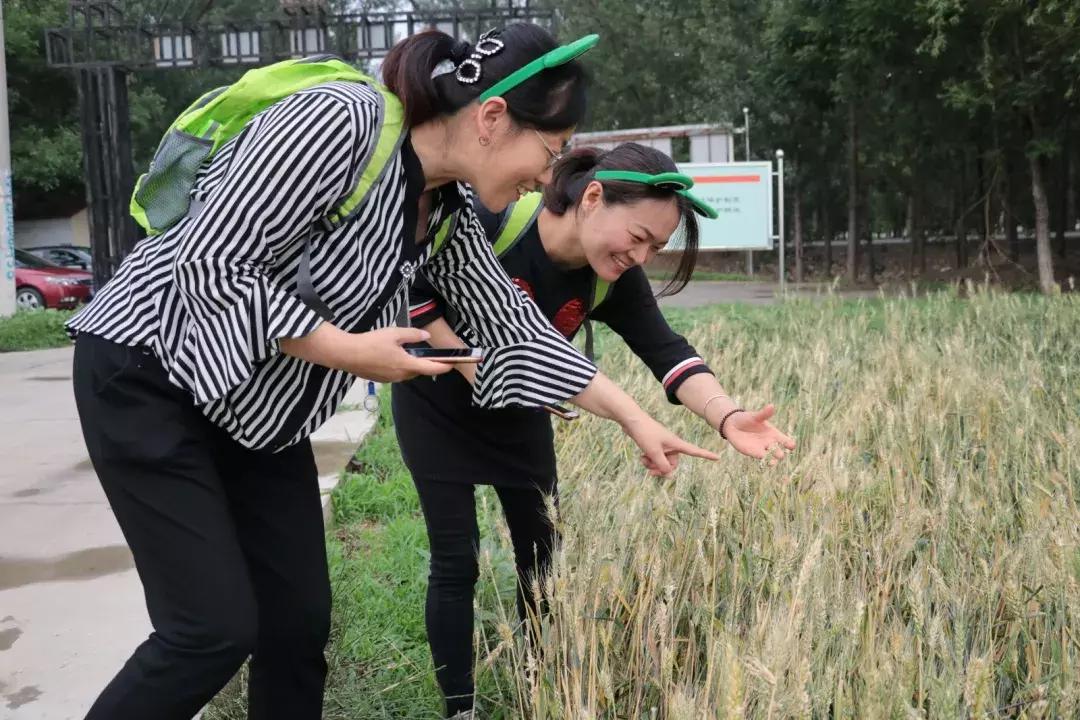 环保最新行动，绿色变革，全民共同的力量