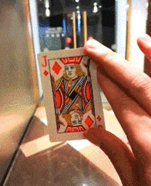 果泡红包现象，多维解读下的最新动态