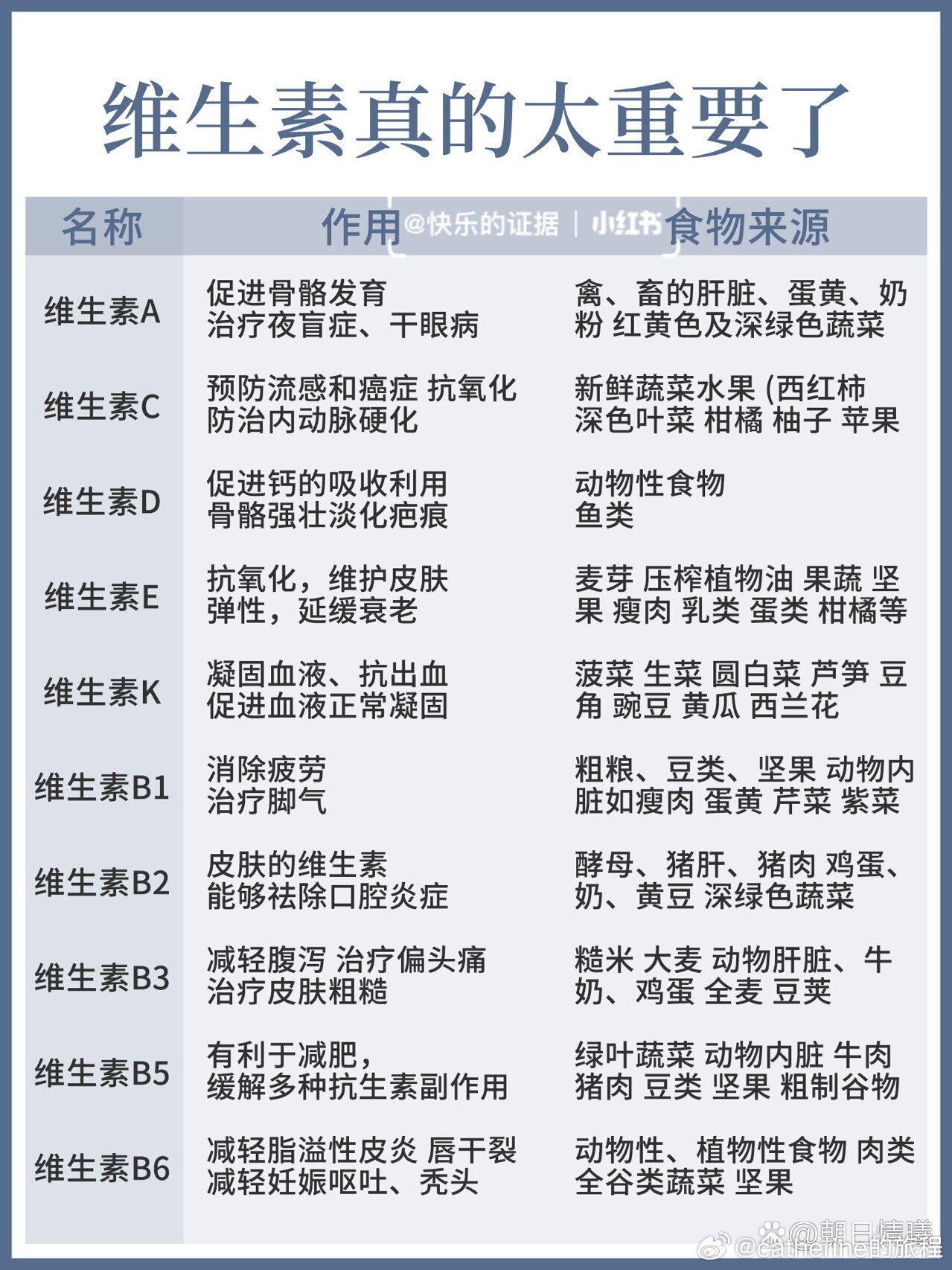 最新维生素，时代的营养之星，健康必备之选
