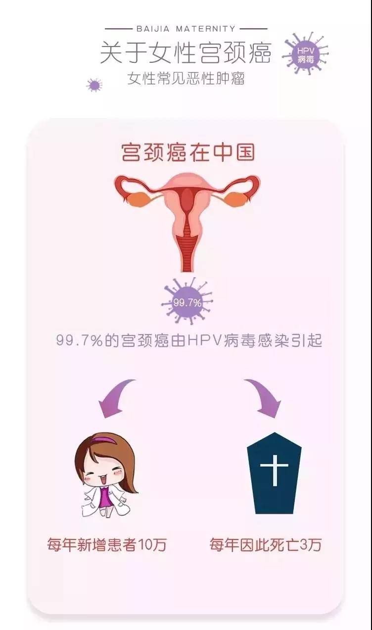 最新宫颈癌预防、筛查与应对步骤指南，全面守护女性健康之路