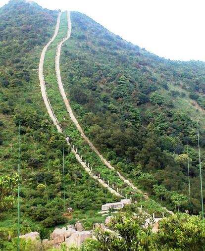 最新梧桐山，攀登知识高峰，拥抱自信与成就之旅
