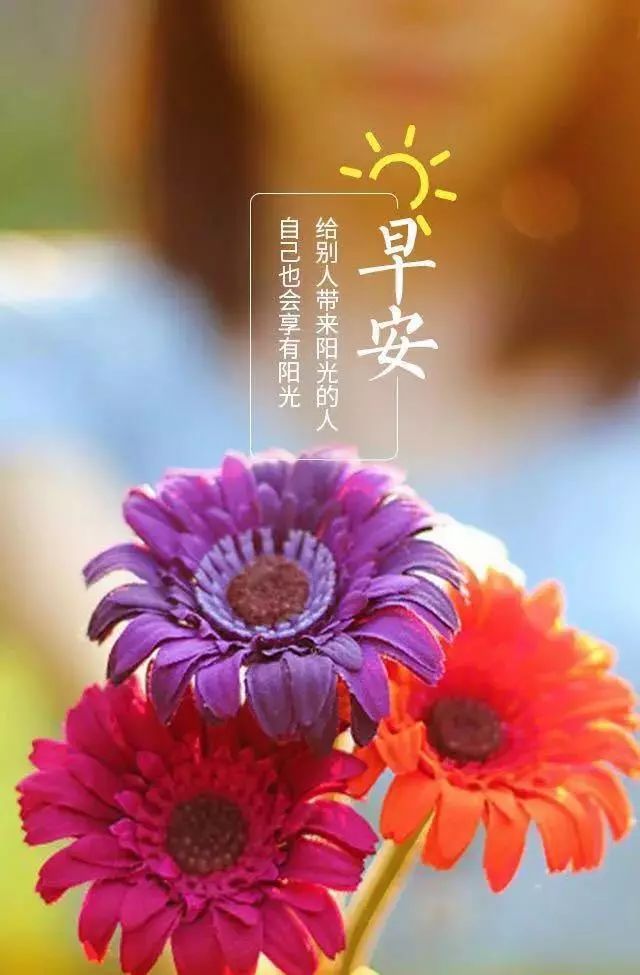 最新早安图片大全，早晨的美好与启示，启示每日的活力与希望