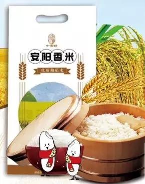 郧阳区安阳镇最新规划揭秘，展望未来的繁荣蓝图