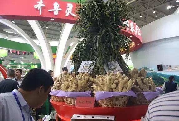 山东大姜最新价格行情更新